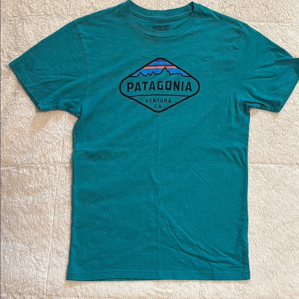 Patagonia Teal Logo Tee